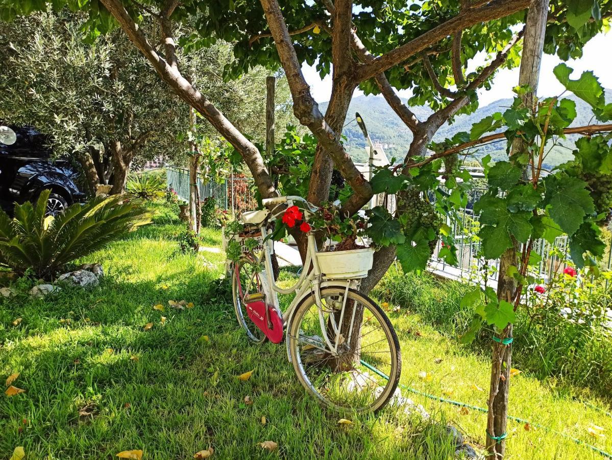 La Roccia Incantata Amalfi Coast Vietri エクステリア 写真